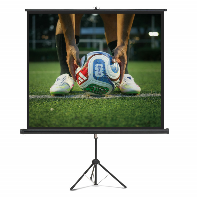 magnetoplan Stativ-Leinwand