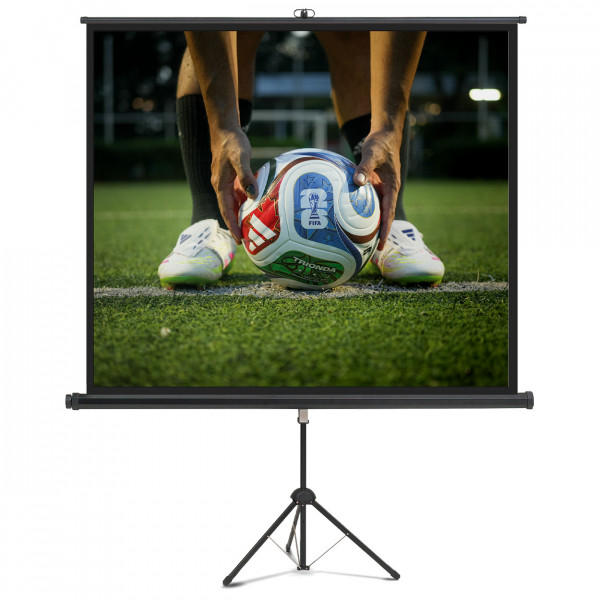 magnetoplan tripod canvas-screen, 1760 x 1320 mm 4:3