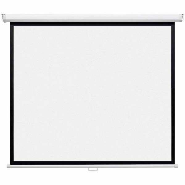 magnetoplan manuelle Rollo-Leinwand