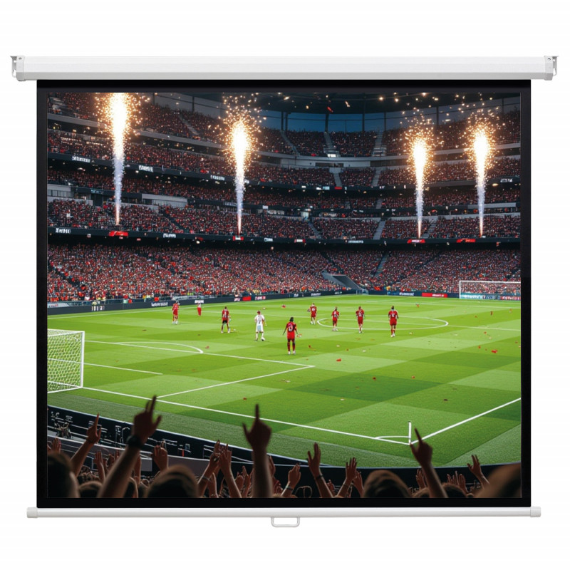 magnetoplan manuelle Rollo-Leinwand